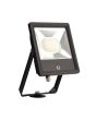 Collingwood FL05BXCS 50W Colour Switchable Floodlight Ip65 Without Pir Black 