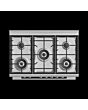 Fisher + Paykel OR90SDG4X1 81723 900Mm Dual Fuel Range Cooker Stainless Steel