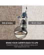 Shark EX200UK Carpetxpert Deep Carpet Cleaner With Built-In Stainstriker - Rotator White