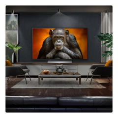 Lg OLED48G56LS.AEK 48" 4K Oled Smart TV