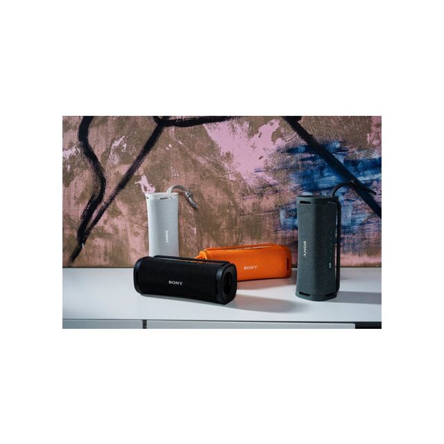 Sony SRSULT10HCE7 Portable Wireless Bluetooth Speaker - Forest Grey